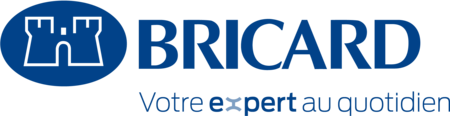 Bricard particuliers